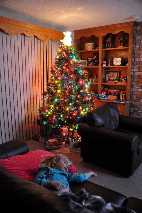 Asleep by the tree